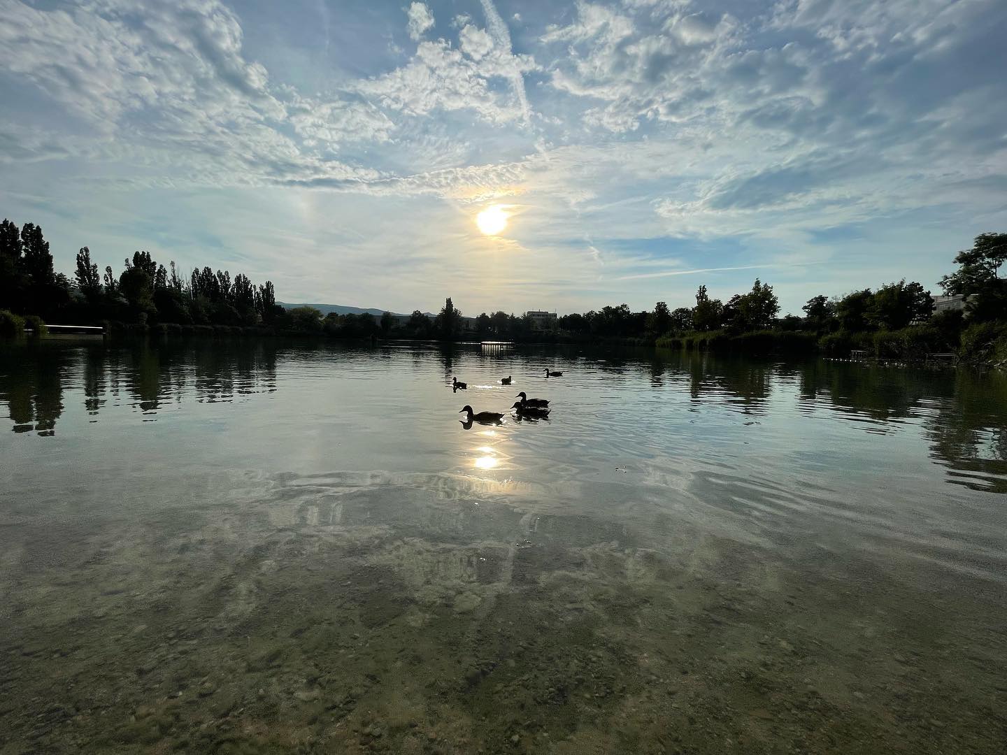Zur Ruhe kommen und durchatmen. - Calm down and take a breath. #wasser #teich #schwimmen #jetzt #now #lake #swimming #natur #sundown #sunset #sonnenuntergang #enten #ducks #nofilter #iphone12promax